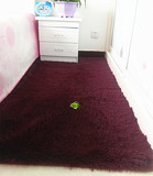 特价家用房间地毯卧室 满铺床边毯可水洗客厅茶几地垫定制飘窗毯