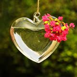 植物吊瓶悬挂玻璃空心球 心形水培玻璃花瓶挂件挂饰家居空间装饰