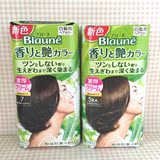 现货日本代购花王BLAUNE2015新款艳彩白发专用植物染发剂/染发膏