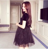韩国代购新款丝绒蓬蓬裙长袖黑色晚礼服气质修身连衣裙女