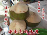 三亚水果新鲜青椰子包邮 1个起拍去皮椰子嫩老椰子 海南特产