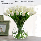 小水壶 欧式经典巴洛克花瓶 透明玻璃花器 现代简约餐桌装饰