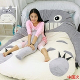 花藤堡 龙猫创意懒人沙发床单双人卡通榻榻米床卧室可爱卡通床垫