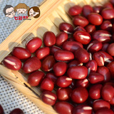红豆500g 新货农家自产有机杂粮豆 东北红小豆非赤小豆 非转基因