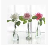 插花点点透明花瓶 桌面透明绿植波点玻璃瓶 玻璃彩色花瓶特价