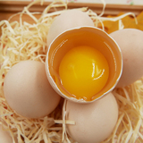 海南博鳌九月正宗农家散养土鸡蛋新鲜文昌鸡柴鸡蛋受精蛋30枚包邮