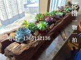 多肉植物木质花盆天然风化木朽木种植花槽长方形木盒花器收纳阳台