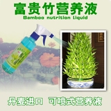 进口富贵竹营养液水培植物液体肥料节节高专用营养品抑菌喷剂包邮