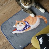 妙吉MEWJI独家原创可爱猫咪动物地毯地垫脚垫礼物（ 款式合集）