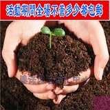园艺用品： 专家配置营养土 花卉蔬菜通用花泥 泥炭土 松软透气
