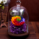 进口永生花礼盒装七彩玫瑰速递玻璃罩干花送爱人生日礼物