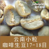 釜王精选 云南小粒咖啡生豆AA级阿拉比卡精品级加工低瑕疵500g