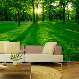 3D立体无缝壁画自然风景客厅沙发墙布绿色阳光森林电视背景墙纸