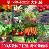 樱桃萝卜种子套餐蔬菜种子四季包邮阳台秋季盆栽家庭水果