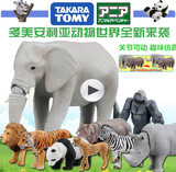 TOMY多美卡安利亚 仿真野生动物可动模型玩具及动物园场景熊猫