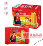 2015中国人寿热水袋 暖手宝 插电 暖手袋 电热水袋 毛绒 保险礼品