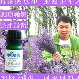 新疆薰衣草精油正品10ml 包邮 助睡眠淡痘印