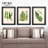 卡柏 蕨类植物 美式田园沙发背景挂画简约客厅装饰画餐厅壁画M162