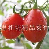 新鲜水果批发 海南千禧圣女果小西红柿水果 小番茄 凉拌沙拉必备