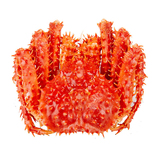 蟹状元智利帝王蟹鲜活熟冻4.0~5.0斤进口海鲜大螃蟹年货送礼