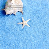 微景观生态瓶 装饰天然细蓝色沙 玩具沙画沙漏彩沙（一公斤）