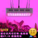 LED植物生长灯 300W植物灯 迷你全光谱补光灯温室大棚种植灯 批发