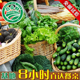 上海农家自种有机新鲜蔬菜试吃装同城配送促销套餐包月卡宅配现摘
