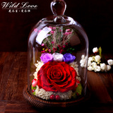 【顺丰空运】女人节七彩玫瑰保鲜永生花礼盒玻璃罩速递生日礼物