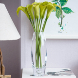 小海芋花艺客厅花瓶摆件玻璃花瓶现代简约椭圆形花插水晶小花瓶
