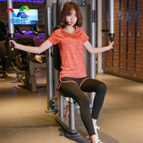 韩国夏季短袖健身房瑜伽服套装女显瘦假二件跑步裤运动专业速干衣