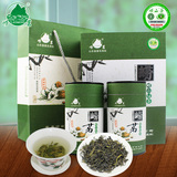 正宗崂山绿茶礼盒装 日照充足绿茶 山东青岛特产绿茶2016春茶