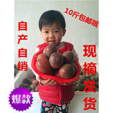 广西特产桂东南百香果园新鲜水果百香果鸡蛋果孕妇水果10斤装包邮