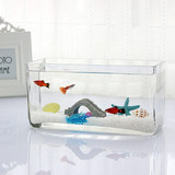 包邮 长方形玻璃鱼缸 斗鱼缸 办公室桌面鱼缸 孔雀鱼缸 一次成型