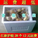 4号邮政泡沫箱冷冻食品保温冷藏箱水果蔬菜海鲜保鲜箱包破损小号