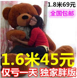 毛绒玩具泰迪熊布娃娃超大号抱抱熊1.8大熊1.6米2公仔生日礼物女