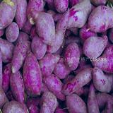 农家自种的新鲜生紫薯 小紫番薯地瓜 红薯山芋小香薯 5斤包邮