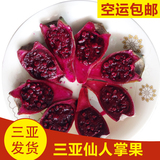 三亚新鲜水果 红肉仙人掌果 每件2斤装