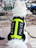 警犬背心大型犬衣服工作犬搜救犬必备宠物衣服通用夏季大狗衣服