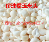 广西特产2015糯玉米推荐农家自产珍珠糯玉米粒煲粥必备玉米头促销
