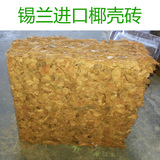 印度进口椰壳砖兰花专用营养土 粗椰块 铁皮石斛植料椰砖4kg包