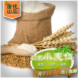 新货小麦仁农家自产去皮优质杂粮有机粒种子胚芽汁麦子特值500g装