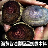 海南黄花梨木料 紫油梨极品对眼料半成品毛胚珠子料2.0蜘蛛原木料
