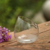 桌面水培多肉容器花盆 斜口透明玻璃花瓶 水养花卉绿植 简