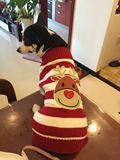 [转卖]柯基毛衣 新年圣诞节宠物衣服 麋鹿条纹 宠物毛衣