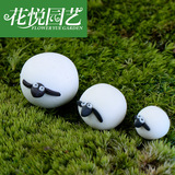 多肉植物套餐组合盆栽苔藓生态瓶微景观盆景装饰品摆件软陶小绵羊