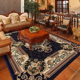 东升地毯 加捻加密 欧式美式客厅沙发大地毯卧室床边玄关茶几垫