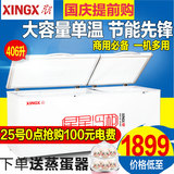 XINGX/星星 BD/BC-406E 大冰柜冷柜 家用商用 卧式单温冷冻冷藏