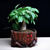 花盆陶瓷复古个性红陶中国风创意摆件发财树大盆简约特价批发包邮