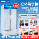 XINGX/星星 LSC-528BW 商用立式陈列柜展示柜 双层玻璃门冷藏保鲜