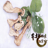 野生美味白牛肝菌 东北特产干货 香菇蘑菇 云南食用菌菌种包邮
